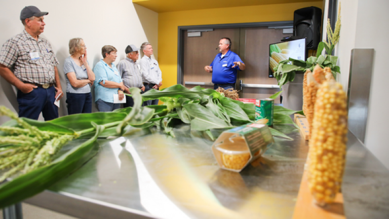 Syngenta Vegetable Seeds the Impact of Innovation