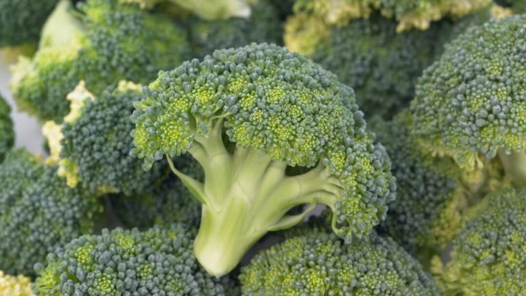 Broccoli