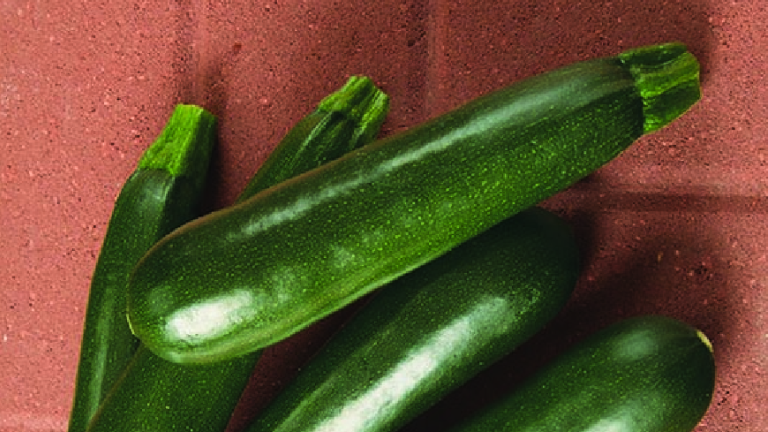 Medium-dark Green Zucchini