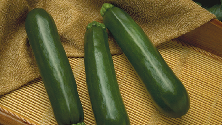 Dark Green Zucchini