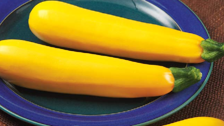 Golden Zucchini
