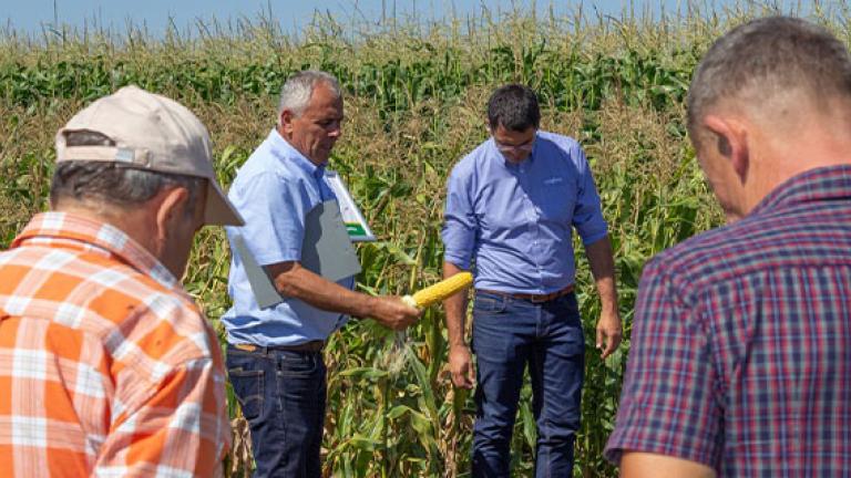 people in field
