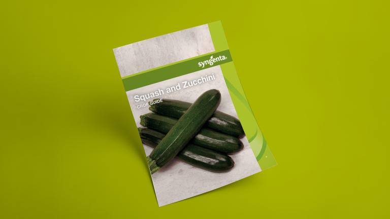 Squash and Zucchini Crop Guide