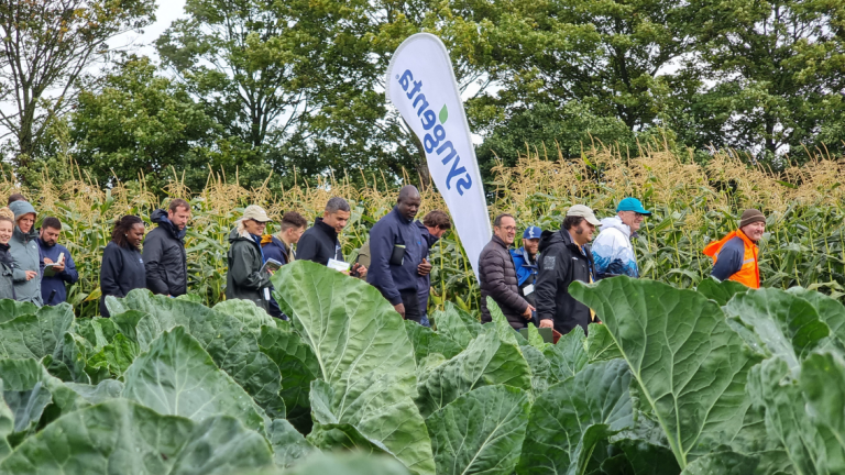 Fields of Innovation