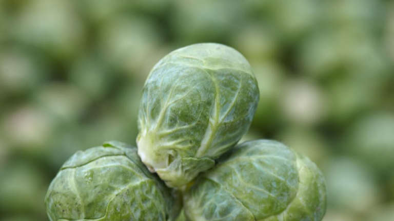 brussels sprouts