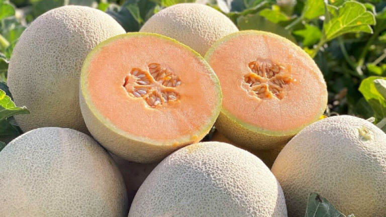 Melon