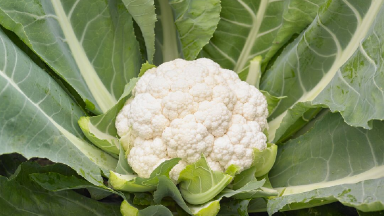 cauliflower