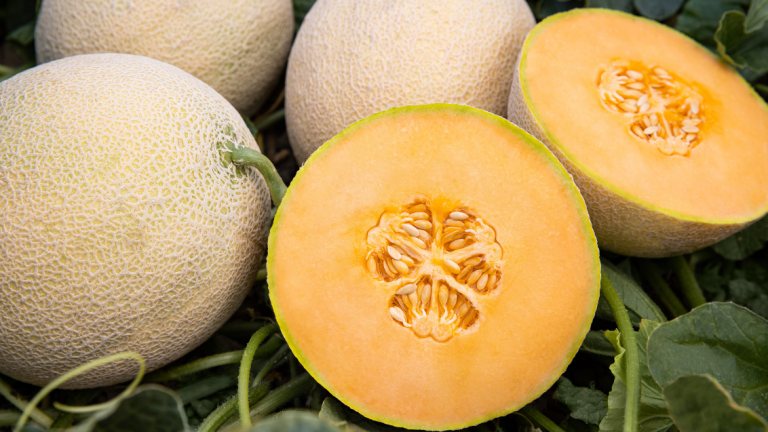 Harvest Indicator Melon