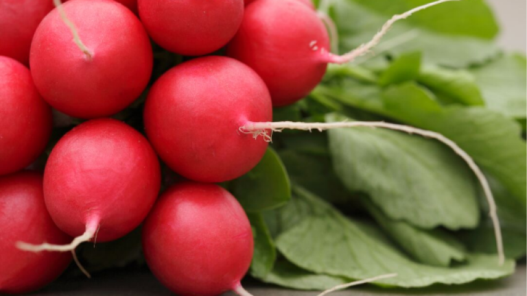 Radish