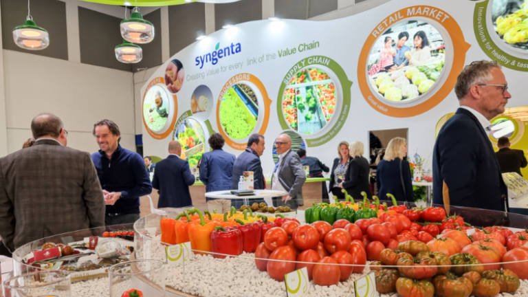 Fruit logistica syngenta
