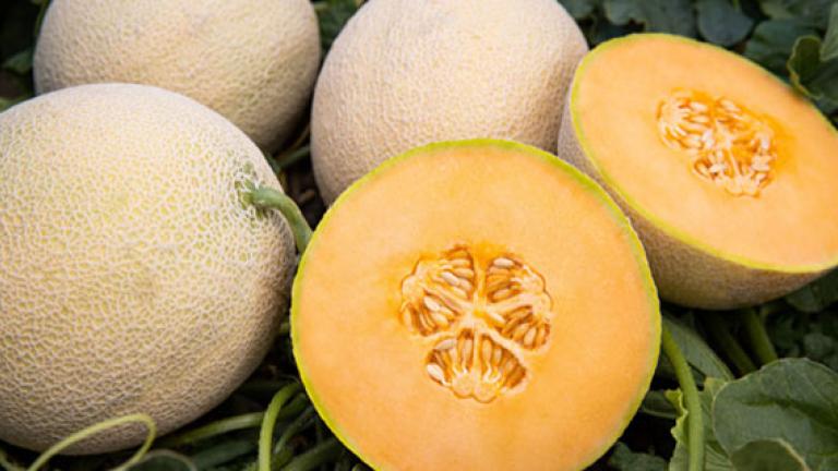 melon