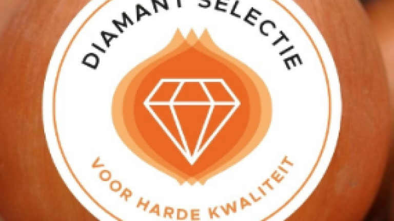Diamant selectie