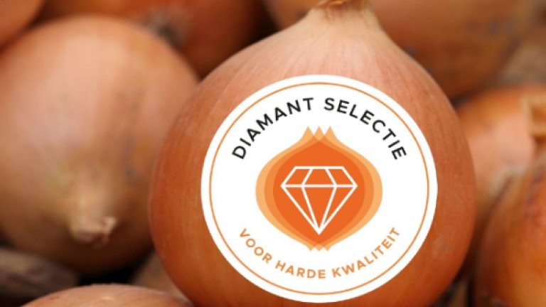 Onion Diamant