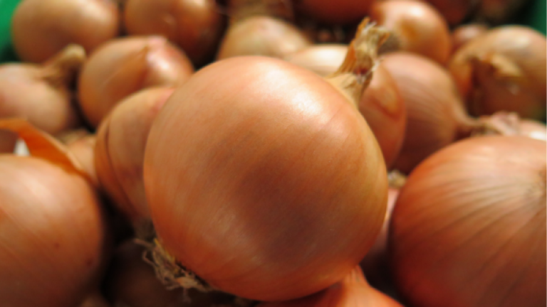 Onion