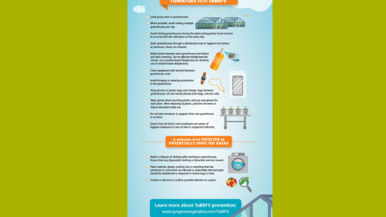 Follow this checklist to help protect your tomatoes against ToBRFV.