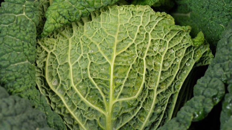 kale