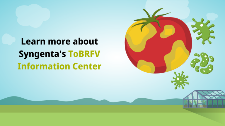 ToBRFV Information Center Main Image.png
