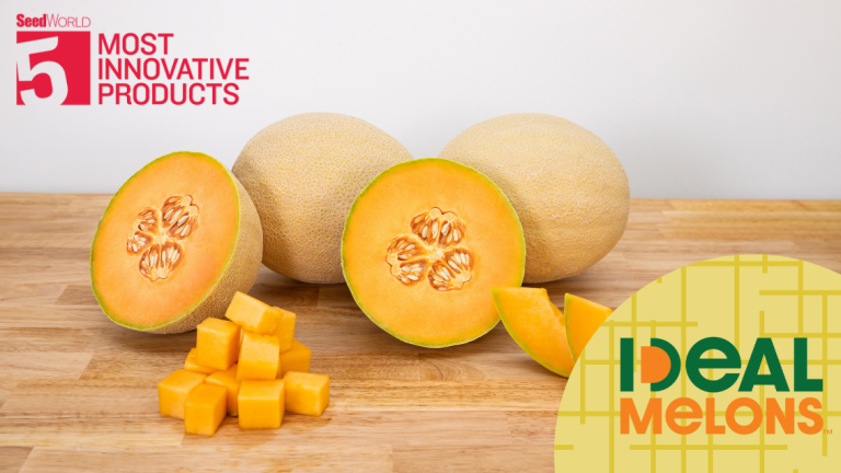 IDEAL Melons Seed World Win Main Image