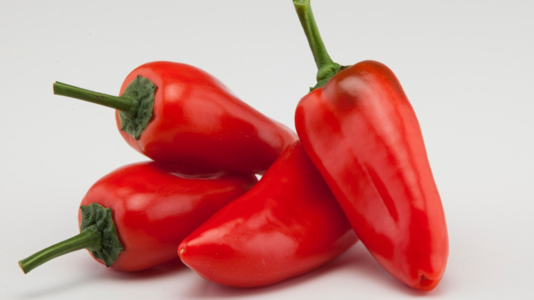 angello sweet pepper