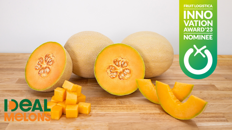 IDEAL Melon Innovation Award
