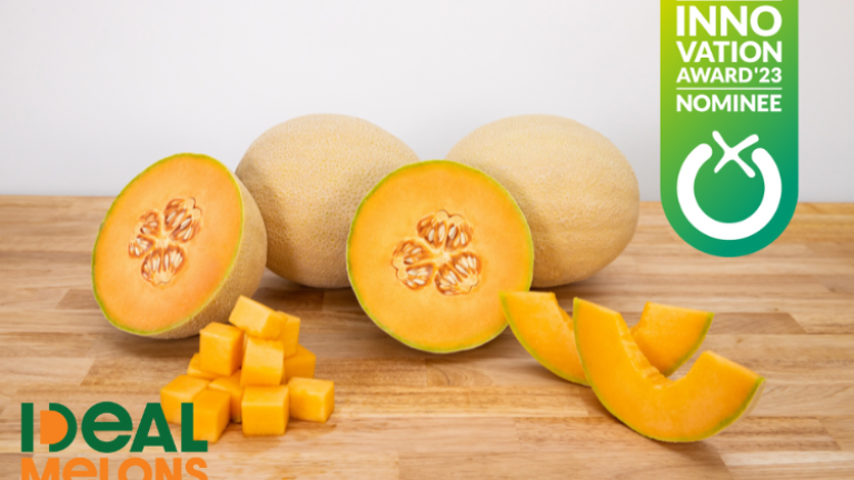 IDEAL Melon Innovation Award