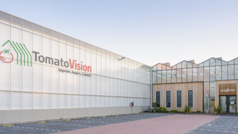 Learn more about TomatoVision.