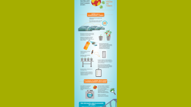 infografia