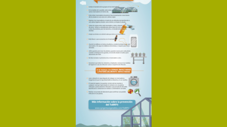 infografia