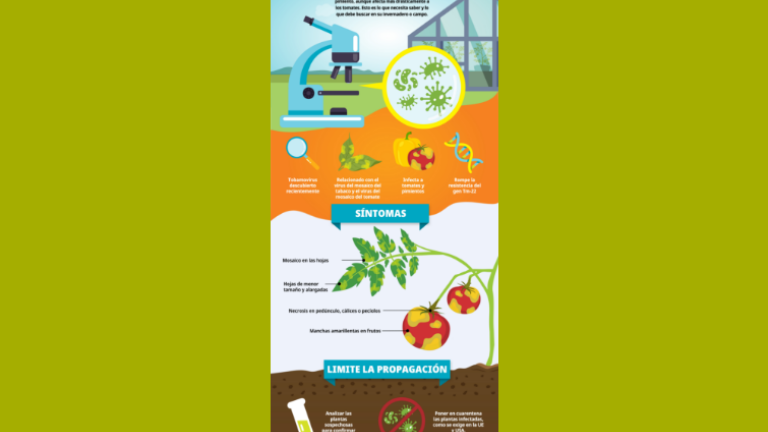 infografia