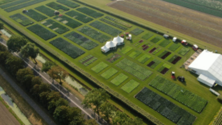 Visit Our Field Day.