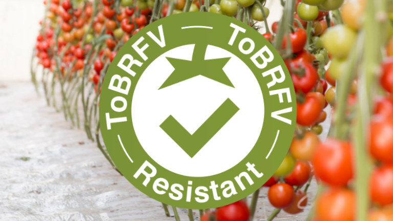 tobrfv seal thumbnail