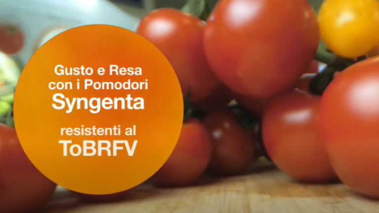 Gusto e Resa video