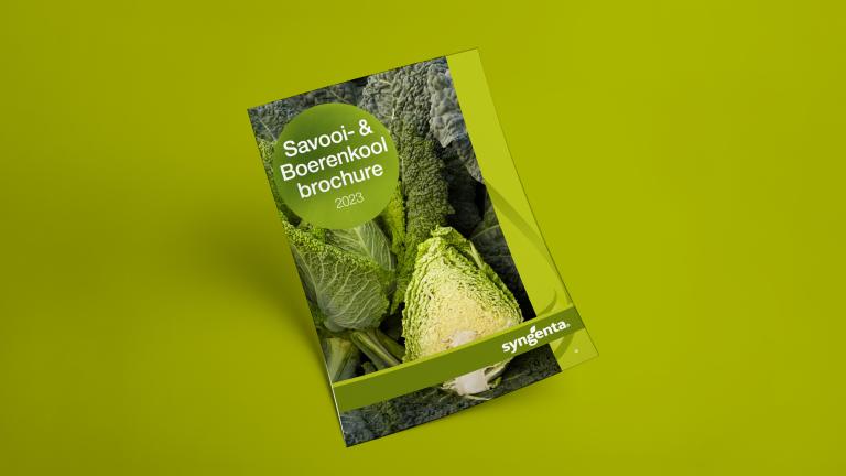 Brochure Savooi Boerenkool