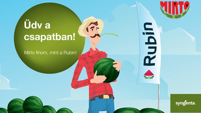 Mirto finom, mint a Rubin!