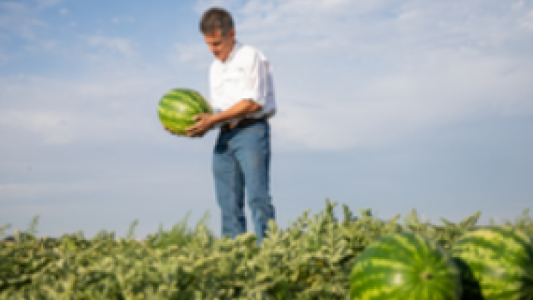 Syngenta Media Release Feltrin