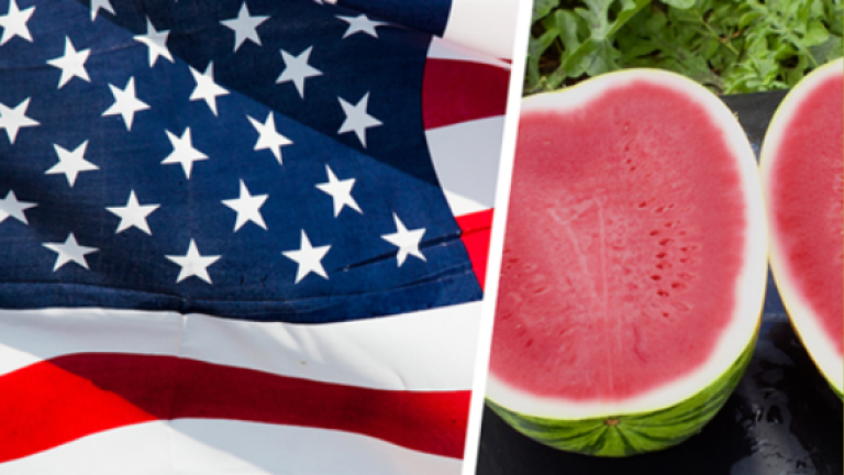 Teaser usa