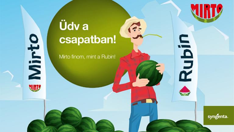 Beérik a munkánk gyümölcse - Mirto finom mint a Rubin!