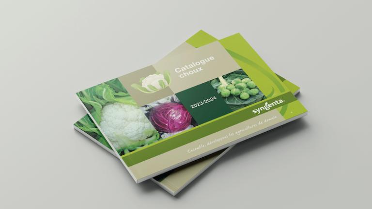 Mockups choux