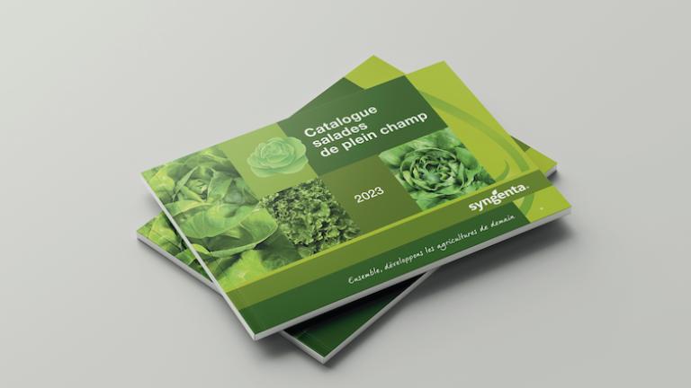 Mockup salades