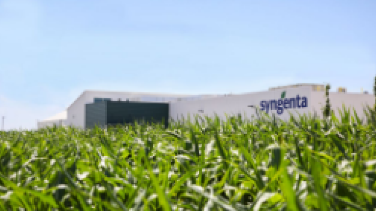 Nampa, Idaho Global Vegetable Seeds Quality Control Lab