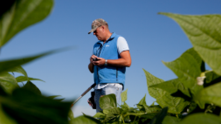 Bean trial Zeewolde Jacco de Boer NL