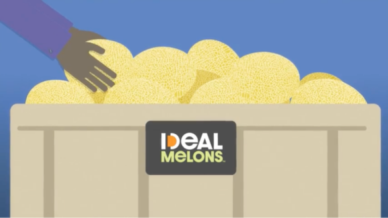 Ideal melons video image