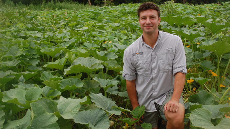 IDEAL Melons Grower main image
