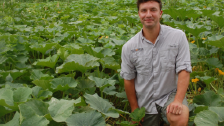 IDEAL Melons Grower Thumbnail