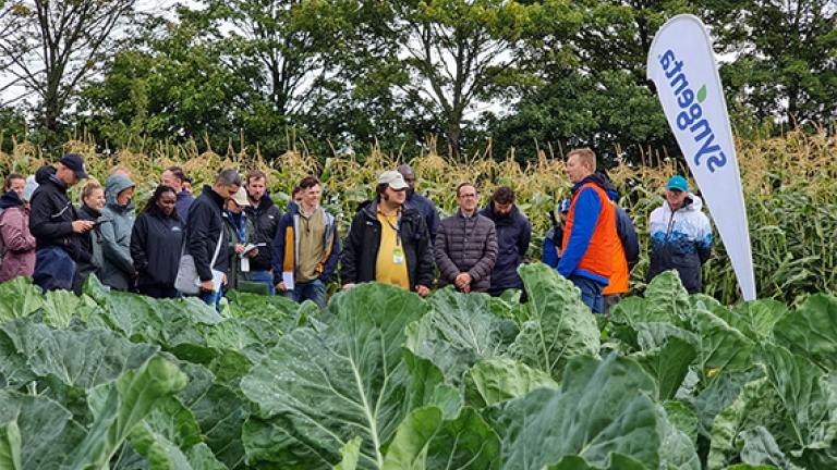 veg_site_news