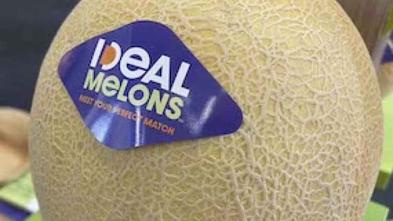 ideal-melon_285x214