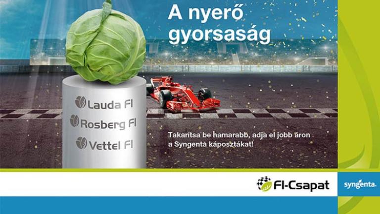 Nyerő gyorsaság, a korai fejes káposzta fajták új világa – F1 csapat