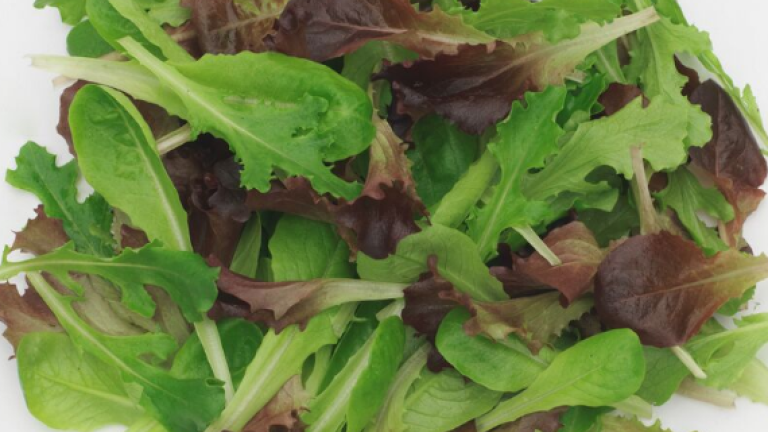 baby leaf lettuce
