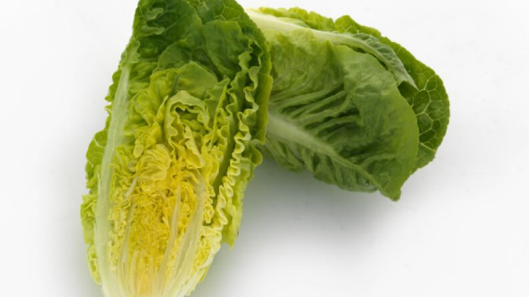 MiniBerg™ romaine