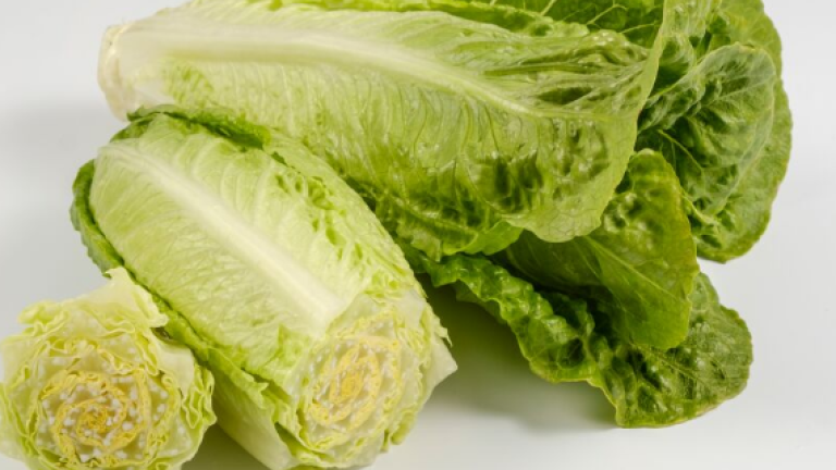 Solid romaine